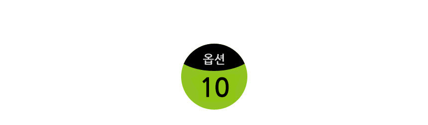 옵션10