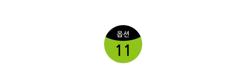 옵션11